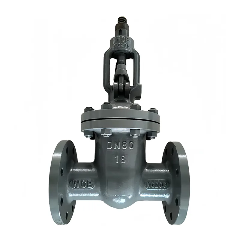 የካርቦን ብረት Flange በር ቫልቭ
