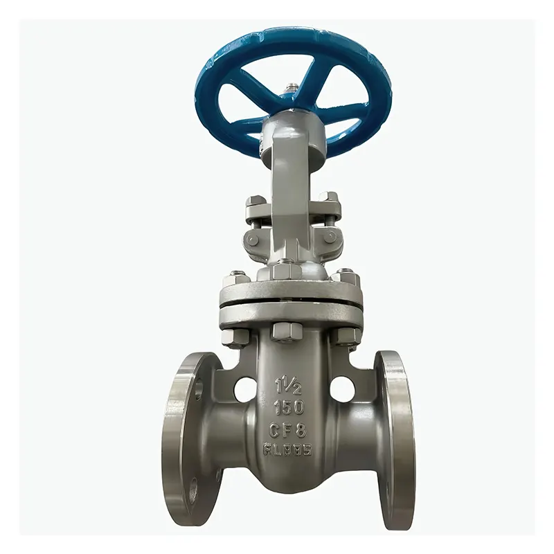 አይዝጌ ብረት 304 Flanged Gate Valve