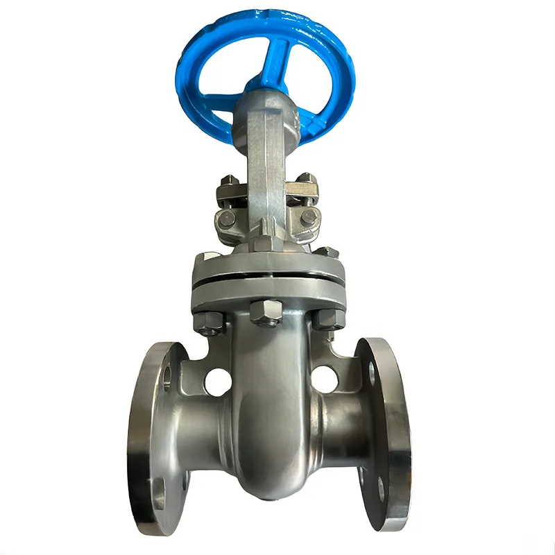 አይዝጌ ብረት ኤፒአይ Flanged Gate Valve